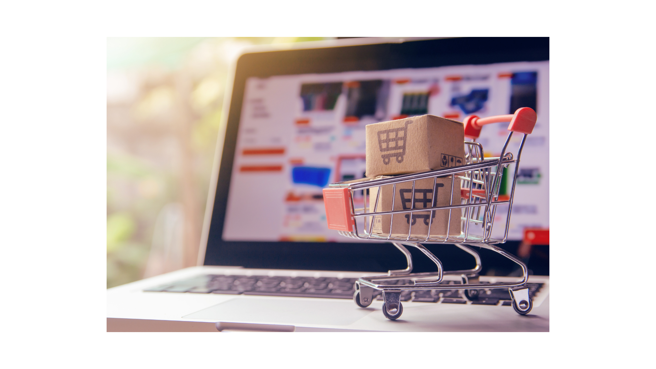 blog media 2-Feb-29-2024-12-44-25-6893-AM