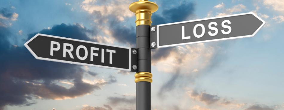 Exploiting Amazon Data to Support Decision Making (Part 1 - Profitability)