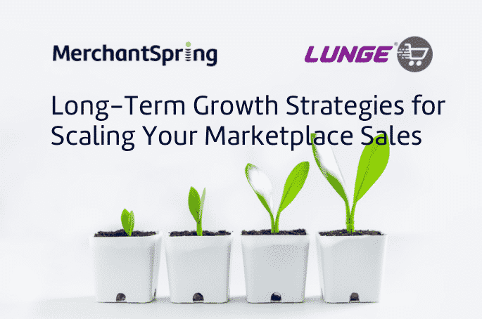 Long-Term Growth Strategies for Scaling Your Marketplace Sales - MerchantSpring