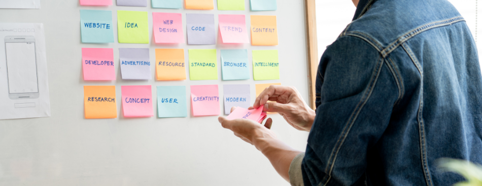 Multi-Brand Management through Amazon’s Super Vendor Model